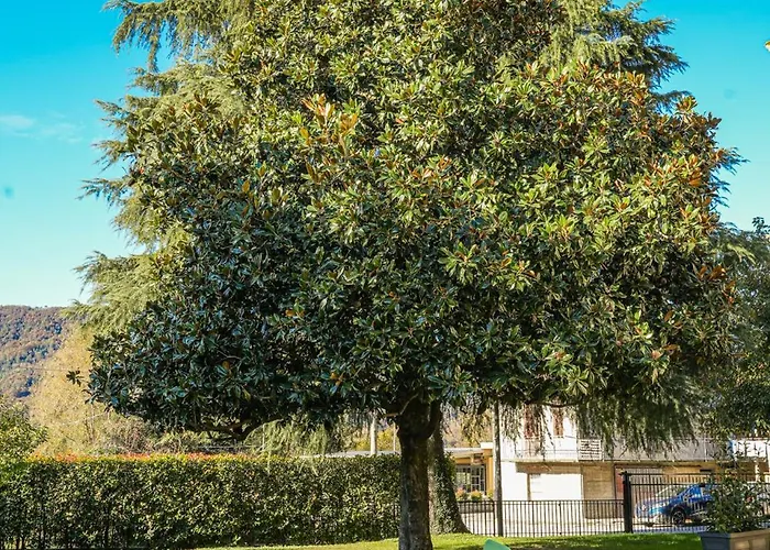 度假居 La Magnolia